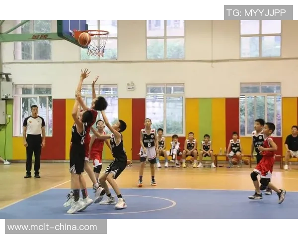 重庆篮球队心理素质排名第四展现团队韧性与竞争力的背后故事